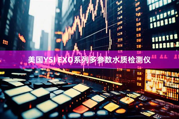 美国YSI EXO系列多参数水质检测仪