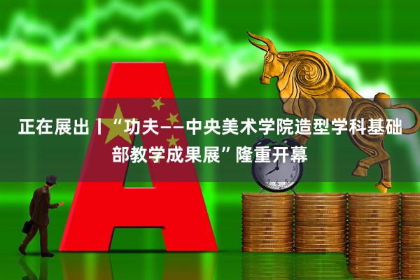 正在展出丨“功夫——中央美术学院造型学科基础部教学成果展”隆重开幕